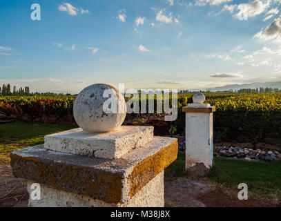 Vignoble de Bodega Viamonte, Lujan de Cuyo, dans la province de Mendoza, Argentine Banque D'Images