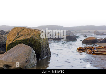 Les rochers à marée basse sur la plage Banque D'Images