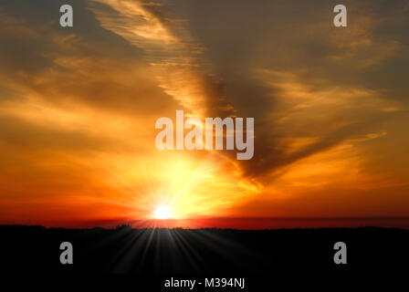Une explosion de couleur jaune et orange coucher de soleil avec des nuages vaporeux sur une forêt noire Banque D'Images