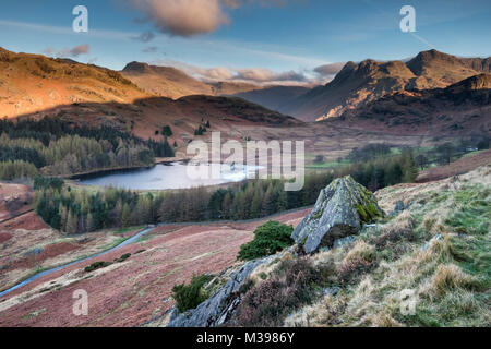 Blea Tarn et le Langdale Pikes au lever du soleil, peu de Langdale, Parc National de Lake District, Cumbria, England, UK Banque D'Images