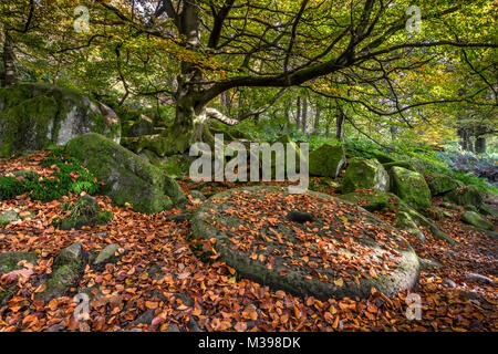 Meule abandonnée à l'automne, Padley Gorge, Grindleford, parc national de Peak District, Derbyshire, Angleterre, RU Banque D'Images