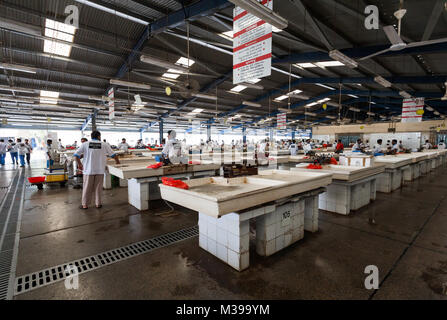 Centre commercial Deira, DUBAÏ, ÉMIRATS ARABES UNIS- Mai 17,2014 - Les pêcheurs vendent du poisson frais au marché aux poissons quotidien.Dubai Deira, le marché au poisson de Nations Unis Banque D'Images