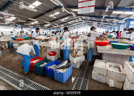 Centre commercial Deira, DUBAÏ, ÉMIRATS ARABES UNIS- Mai 17,2014 - Les pêcheurs vendent du poisson frais au marché aux poissons quotidien.Dubai Deira, le marché au poisson de Nations Unis Banque D'Images