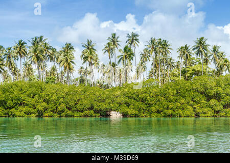 Palmiers de Ratua Private Island, vue de l'eau. République de Vanuatu Banque D'Images