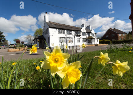 Village de Handley, Angleterre. Vue pittoresque de printemps Handley : l'artère principale. Banque D'Images