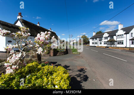 Village de Handley, Angleterre. Vue pittoresque de printemps Handley : l'artère principale. Banque D'Images