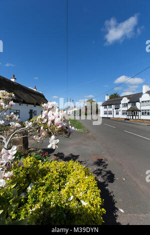 Village de Handley, Angleterre. Vue pittoresque de printemps Handley : l'artère principale. Banque D'Images