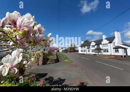 Village de Handley, Angleterre. Vue pittoresque de printemps Handley : l'artère principale. Banque D'Images