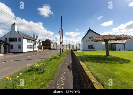 Village de Handley, Angleterre. Vue pittoresque de printemps Handley : l'artère principale. Banque D'Images