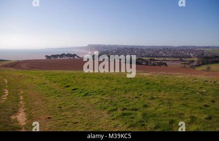 Devon roulant terre agricole par la mer. Budleigh Salterton, Devon est Salon de Beauté Naturelle Exceptionnelle. Printemps, 2015. Banque D'Images