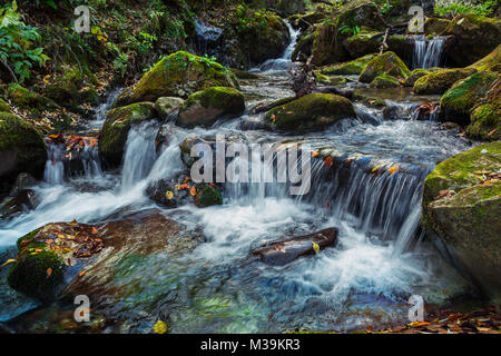 Le ruisseau Orfento coule au cœur du parc national de la Majella. La présence de la loutre témoigne de la pureté de ses eaux. Abruzzes, Italie Banque D'Images