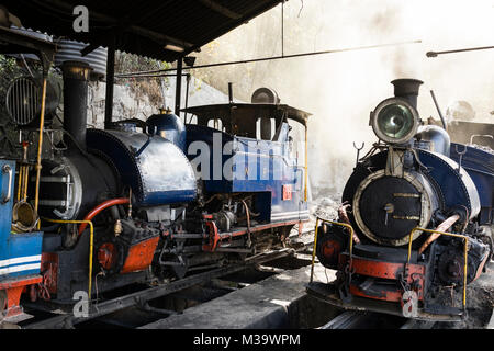 Darjeeling, Inde, le 3 mars 2017 : locomotive à vapeur à la gare de Darjeeling Banque D'Images