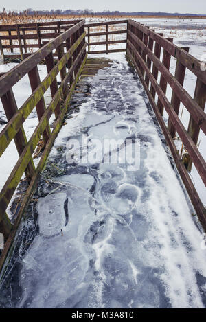 De la glace sur une passerelle en bois tressé sur satellite de la rivière Narew dans Waniewo village, partie du Parc National de Narew dans Podlaskie Voivodeship de Pologne Banque D'Images