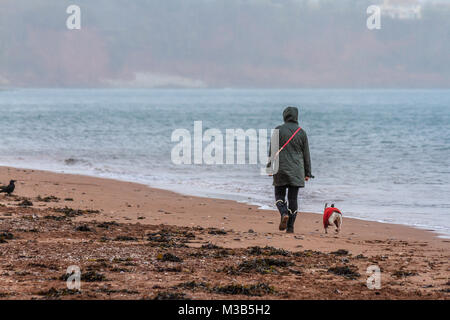 Personne dans l'imperméable chien marche en manteau rouge sur la plage de Paignton sur humide journée de février. Début des pluies à la mi-saison à Paignton, Torbay, Devon, UK. Credit : JHNews / Alamy Live News Banque D'Images