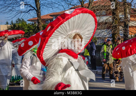 OPICINA, TRIESTE, Italie - février 10, 2018 : les participants non identifiés dans le défilé du carnaval Kraski Pust ou Carnevale Carsico. Le Carnaval Carsico Kraski Edition 51 le 10 février 2018 à Opicina. Ses plus anciens carnival sur le karst. Banque D'Images