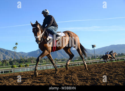 Arcadia, CA, USA. 10 fév, 2018. Au cours de leur pur-sang post réchauffer sur la saleté à Santa Anita Race Track, Arcadia, Californie, USA, le 9 février 2018.Image Crédit cr Scott Mitchell/ZUMA Press Crédit : Scott Mitchell/ZUMA/Alamy Fil Live News Banque D'Images