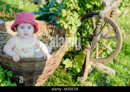 Incroyable petit bébé est dans le jardin et mange des fruits rouges le long de la roue tournante Banque D'Images