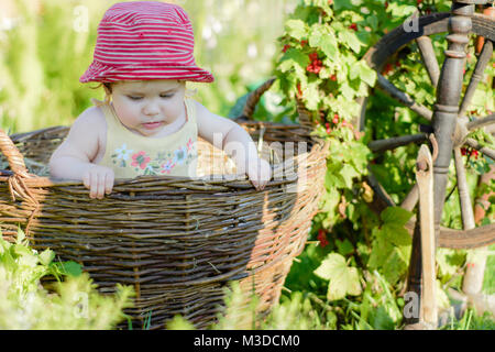 Incroyable petit bébé est dans le jardin et mange des fruits rouges le long de la roue tournante Banque D'Images