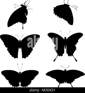 Silhouettes de papillons sur fond blanc Illustration de Vecteur