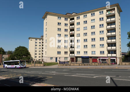 Maison de Newcastle peint en blanc appartements se détachent sur le ciel bleu (centre-ville de tour de logements sociaux) - Bradford, West Yorkshire, Angleterre, Royaume-Uni. Banque D'Images