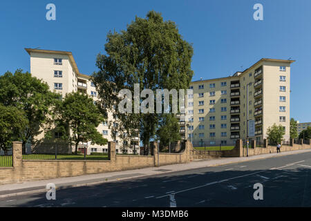 Maison de Newcastle peint en blanc appartements se détachent sur le ciel bleu (centre-ville de tour de logements sociaux) - Bradford, West Yorkshire, Angleterre, Royaume-Uni. Banque D'Images