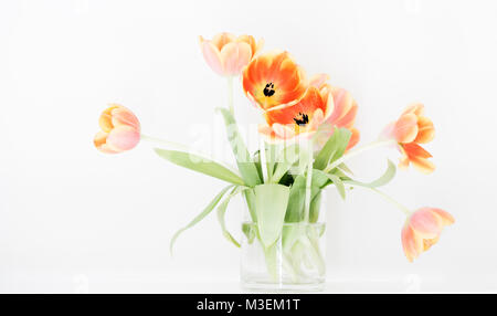 Un vase de verre, vibrante tulipes orange sur un fond blanc lumineux. Banque D'Images