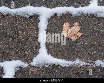 Feuille sèche portant sur les pavés avec de la neige accumulée dans l'espace entre les briques Banque D'Images