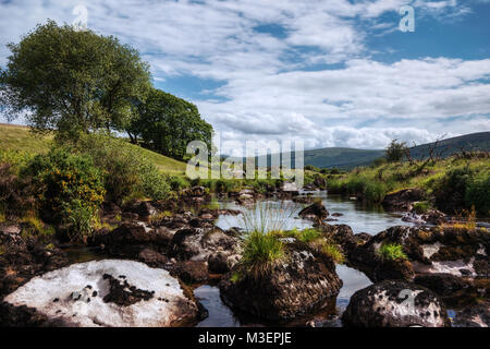 Parc National des Montagnes de Wicklow prises en 2015 Banque D'Images