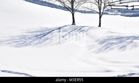 L'amour l'ombre de la kryptonite sur la neige dans le soleil de l'après-midi. Pris sur février 10,2018 at 2:25 PM. Banque D'Images