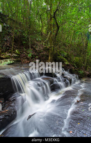 Jérusalem Creek Falls, Barrington Tops, NSW. Banque D'Images