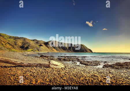 Makara Beach New Zealand prises en 2015 Banque D'Images