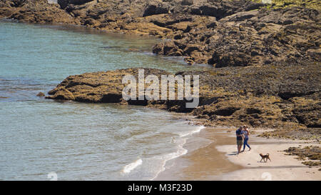 Deux personnes marcher leur chien à Rozel Bay, Jersey, Channel Islands, Royaume-Uni Banque D'Images