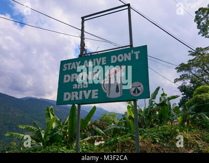 Portland Parish, Jamaïque - 1 janvier, 2014 Vert : Don't drink and drive signe de la sécurité routière par le côté de la route B1 dans la région de Blue Mountains de th Banque D'Images