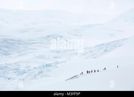 Un groupe de touristes jusqu'au milieu de l'offre la plus étendue de neige de Neko Harbour, l'Antarctique après une randonnée d'inscription de la rive. Banque D'Images