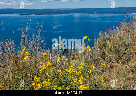 Vue sur le lac de Yellowstone Lake Butte donnent sur. Le Parc National de Yellowstone, Wyoming, USA Banque D'Images