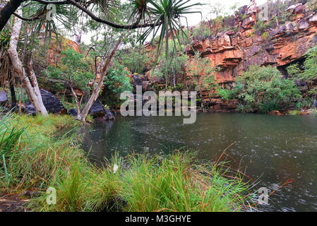 De magnifiques Gorges Galvans sur la Gibb River Road en Australie de l'Ouest Région de Kimberly Banque D'Images