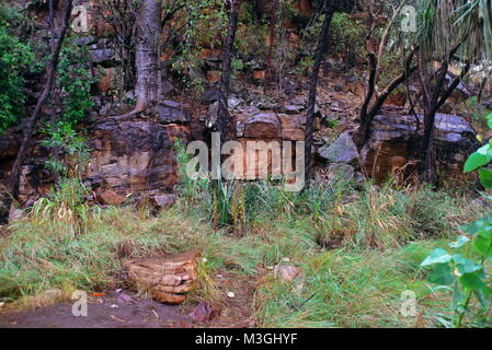 De magnifiques Gorges Galvans sur la Gibb River Road en Australie de l'Ouest Région de Kimberly Banque D'Images