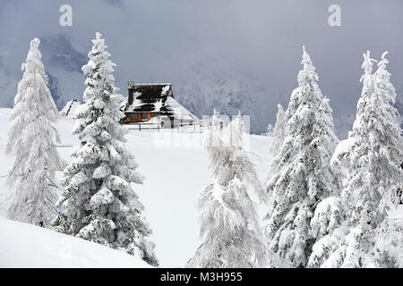 Chalet idyllique ancienne en bois recouvert de neige dans le paysage de montagne de Velika planina, la Slovénie. Banque D'Images