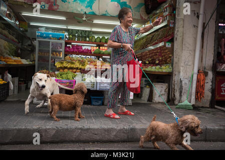 Une femme chinoise vagues à un ami alors que promener son chien au petit matin, Shanghai, Chine Banque D'Images