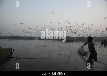 L'homme est extérieur nettoyage marbre avec d'infinie migrateurs Oiseaux Mouette Sibérie volent le matin avec le lever du soleil, Delhi, Inde, Asie Banque D'Images