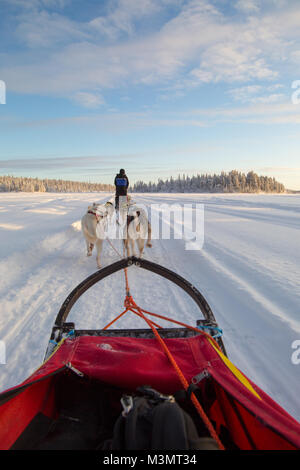 Vue arrière du traîneau huskies tirant à travers le paysage couvert de neige, Kiruna, Suède, février 2018 Banque D'Images