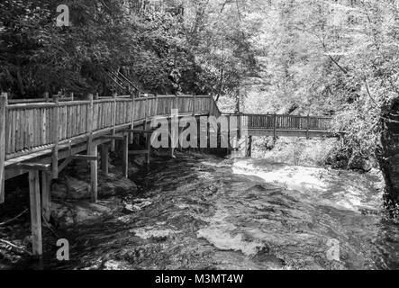 Passerelle en bois naturel et les escaliers plus de chutes d'eau dans la Pennsylvanie Poconos en noir et blanc Banque D'Images