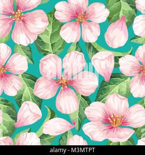 Fleurs d'Apple, des pétales et des feuilles de style aquarelle sur fond blanc. Modèle sans couture pour textile, du papier d'emballage, l'emballage Illustration de Vecteur