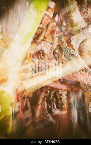 Niland, Californie - le 26 juin 2016 : Salut Mountain Californie prises en 2015 Banque D'Images