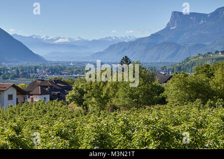 Algund dans la matinée, le Tyrol du Sud, belle vue Banque D'Images