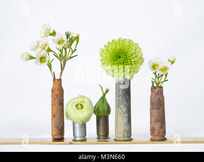 Old Rusted Douilles ont des plantes fraîches et de fleurs sur fond blanc Banque D'Images