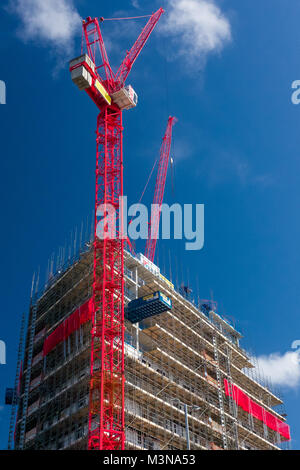 Plymouth de neuf logements étudiants capacités Point Beckley en construction. Banque D'Images