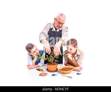 Man avec ses petits-enfants découpage d'un arbre de bonzaies Banque D'Images