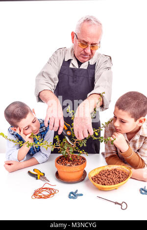 Man avec ses petits-enfants couper un arbre de bonzaies avec sécateur isolés contre fond blanc Banque D'Images