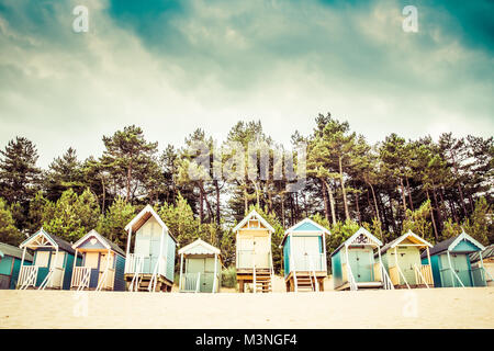 Cabines colorées sous le couvert d'une ligne d'arbres sur la plage de sable de Wells Next The Sea à Norfolk, au Royaume-Uni. Banque D'Images